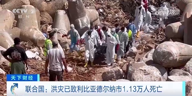 通宝网站是多少